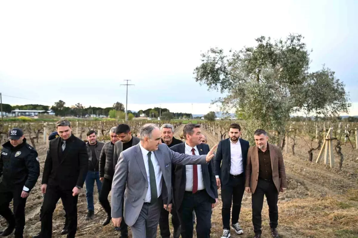 Manisa’da Don Afeti İncelemesi