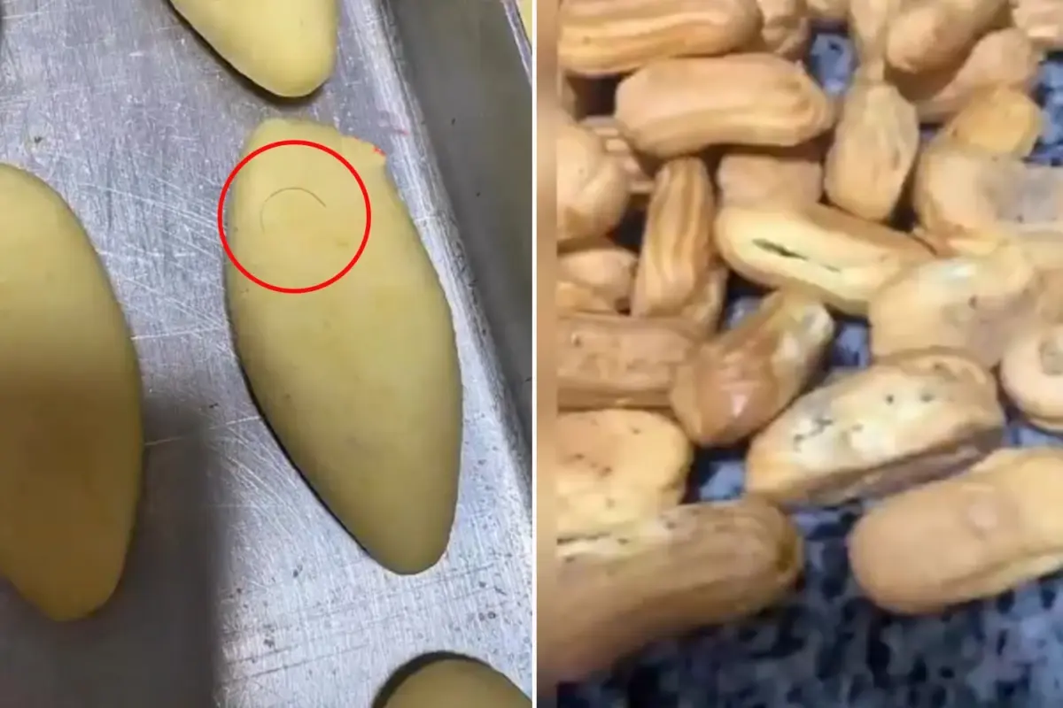 Pastanede mide bulandıran görüntüler! Vatandaşları işte böyle zehirliyorlar